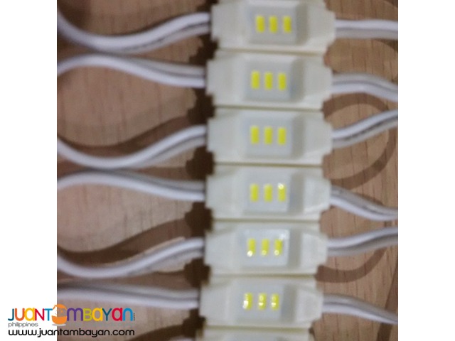 LucentLite Signage LED Mini Injected Module, 0.3w LucentLite Signage LED Mini Injected Module, 0.3w