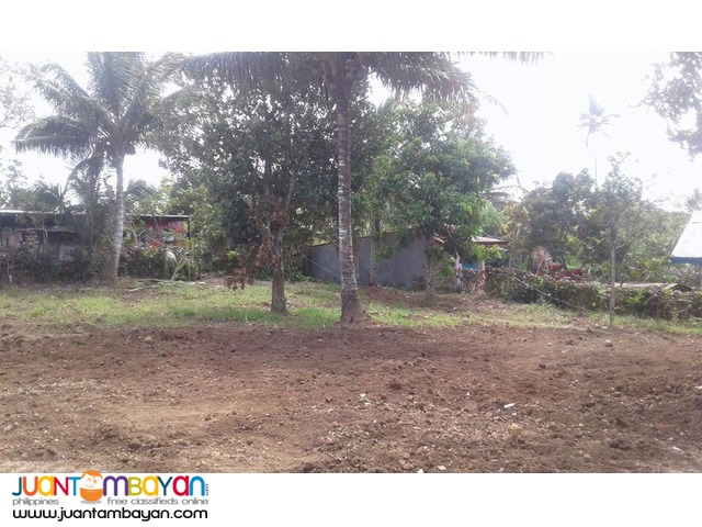 Farm lot at Amadeo FOR SALE!