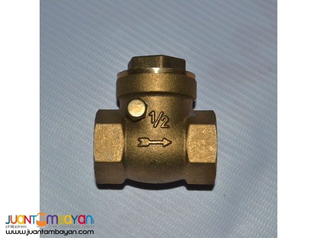 1/2 Swing Check Valve 