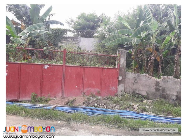 310sqm Lot for Sale in Pilit Cabancalan Mandaue City Cebu