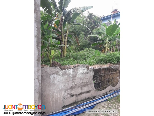 310sqm Lot for Sale in Pilit Cabancalan Mandaue City Cebu