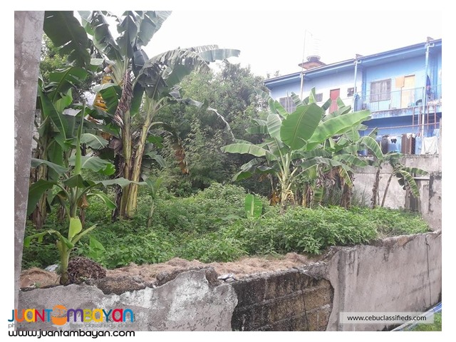 310sqm Lot for Sale in Pilit Cabancalan Mandaue City Cebu