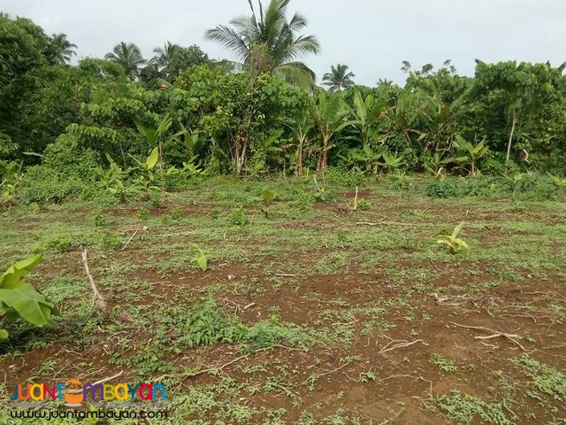 Affordable farm lot For sale