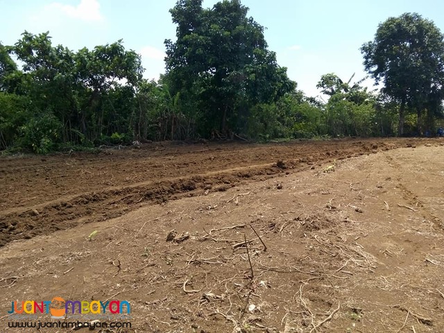 residential farm land for sale in amadeo