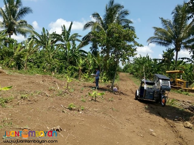 residential farm land for sale in amadeo