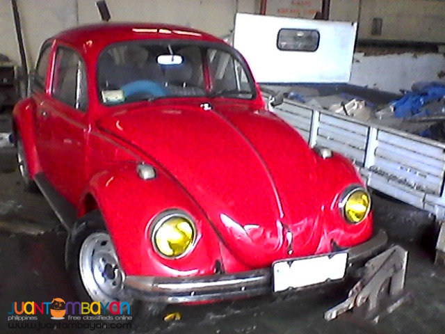 beetle beetle