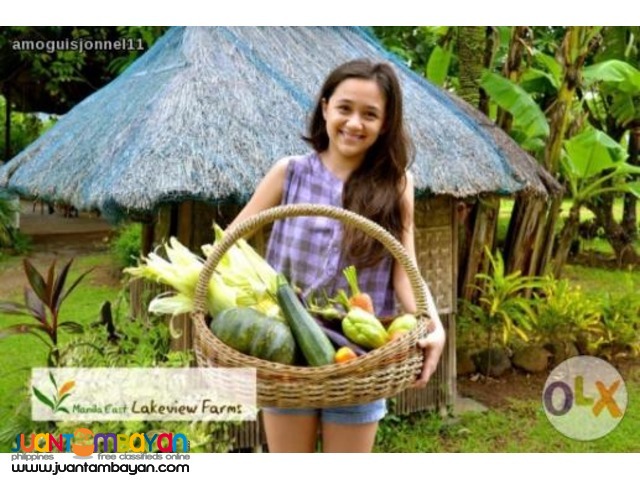 Vacation/Residential/Farm Lots Manila East Lakeview Farms Morong Rizal
