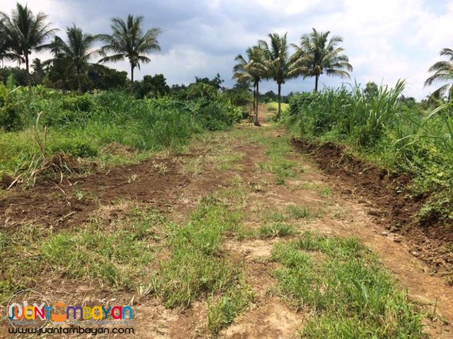 residential farm land for sale in cavite