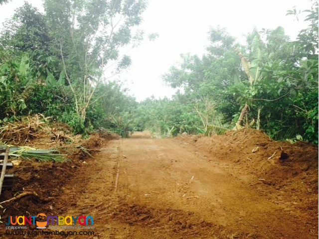 residential farm land for sale in cavite