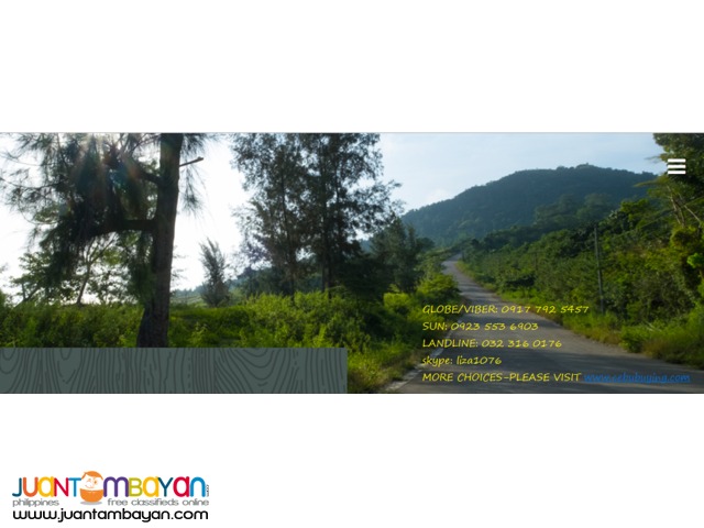 Foressa Mountain Town in Balamban Cebu Foressa Mountain Town in Balamban Cebu
