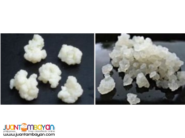 Your Kefir Source: healthy kefir grains in the Philippines