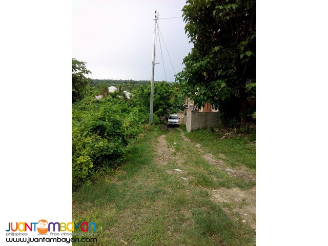 Pre Selling house for sale in Whiteland Tuyan 