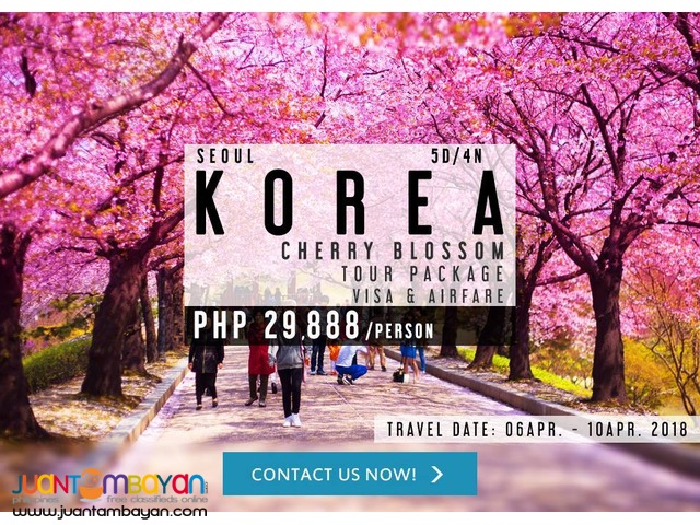 5D4N Korea Cherry Blossoms Tour Package + Visa + Airfare