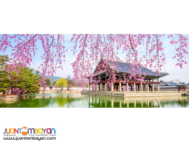 5D4N Korea Cherry Blossoms Tour Package + Visa + Airfare