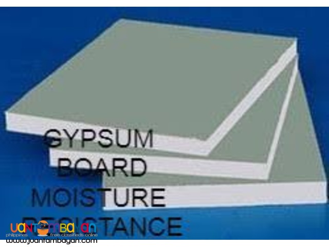 Gypsum Board