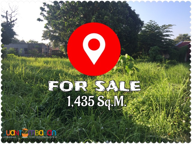 Lot for Sale in Cebu