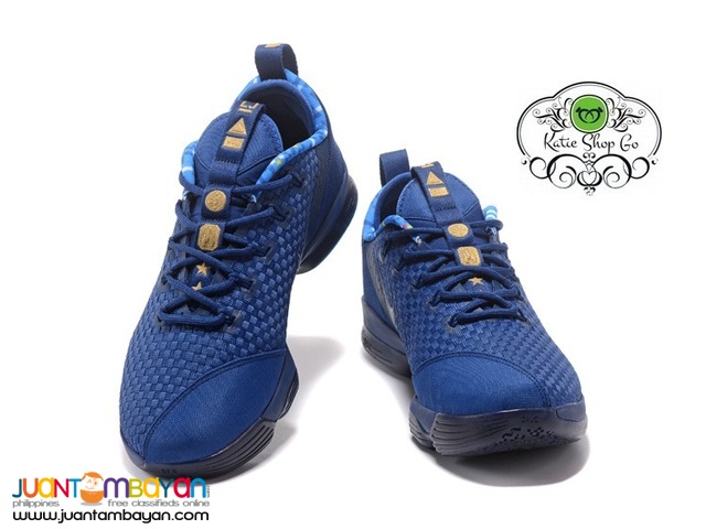 lebron shoes agimat