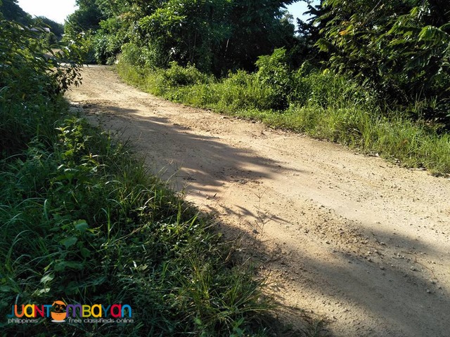 20000 sqm Mango Farm Guimaras Property