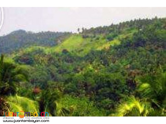 For Sale 169 hectares @ San Pablo City, Laguna For Sale 169 hectares @ San Pablo City, Laguna