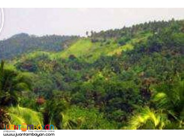 For Sale 169 hectares @ San Pablo City, Laguna