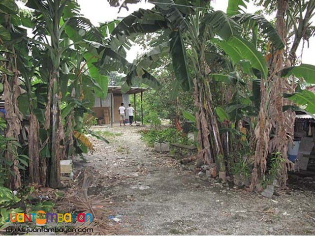 PH839 Lot for sale in Congressional QC at 25M