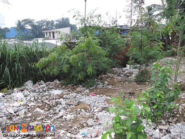 PH839 Lot for sale in Congressional QC at 25M
