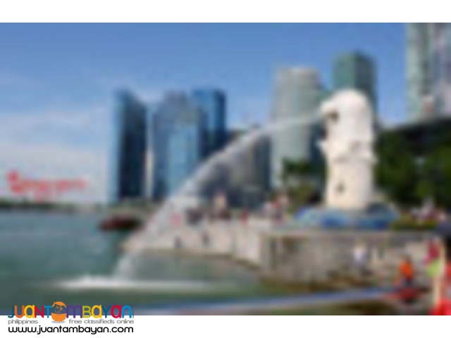 Singapore tour package, with hopper tour and Hainanese Chicken meal