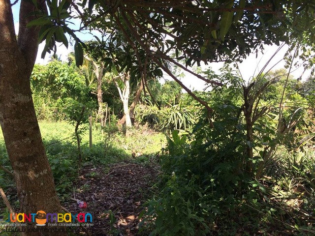 Farm Lot For Sale in Esperanza Alfonso Cavite