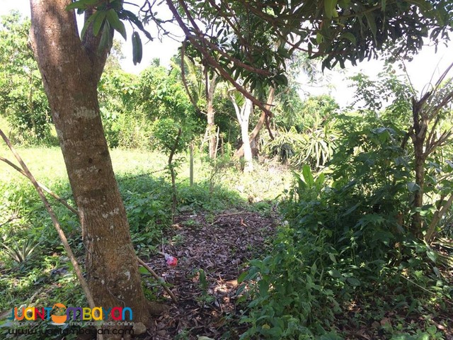 Farm Lot For Sale in Esperanza Alfonso Cavite