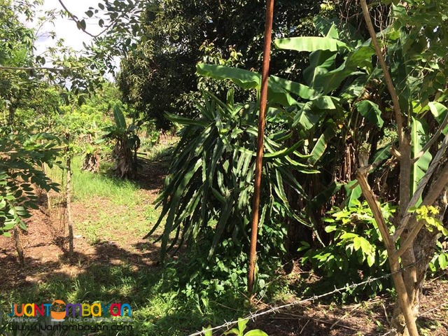 Farm Lot For Sale in Esperanza Alfonso Cavite