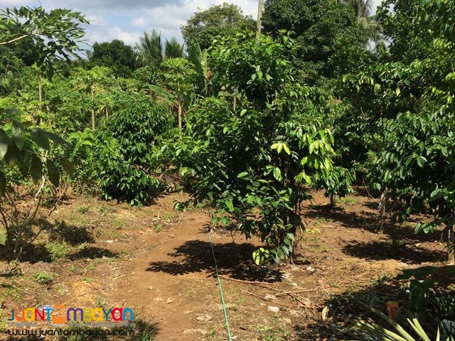 Farm Lot For Sale in Esperanza Alfonso Cavite