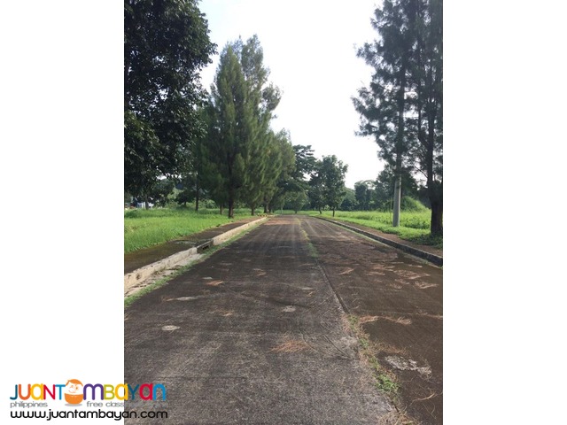 Royale Tagaytay Estates Lot For Sale Alfonso Cavite