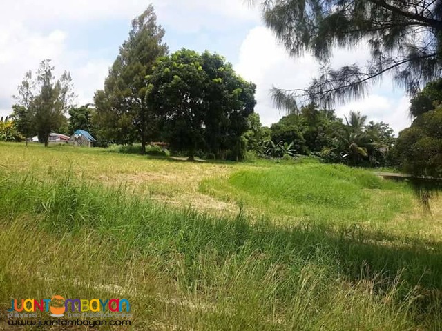 Tagaytay Royale Estates Lot For Sale