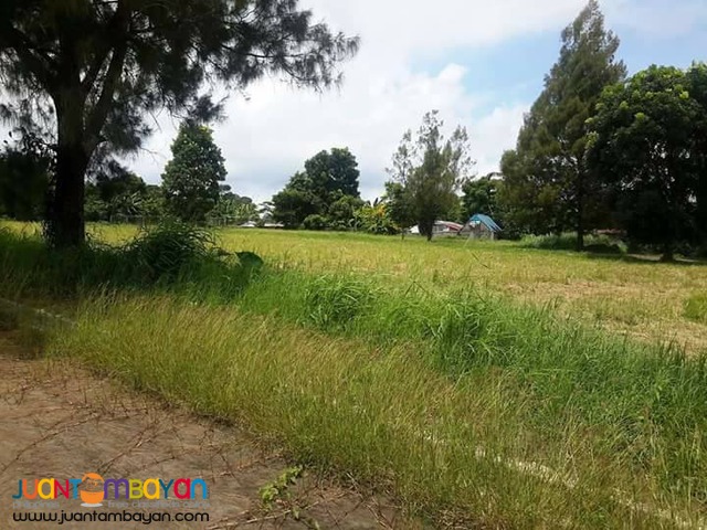 Tagaytay Royale Estates Lot For Sale