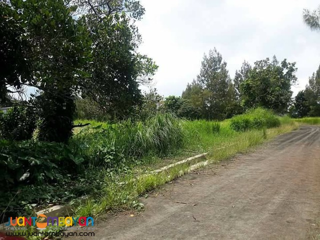 Tagaytay Royale Estates Lot For Sale