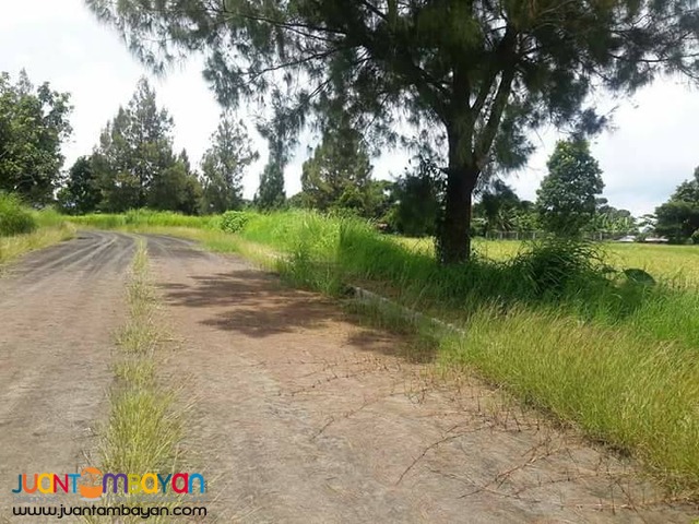 Tagaytay Royale Estates Lot For Sale