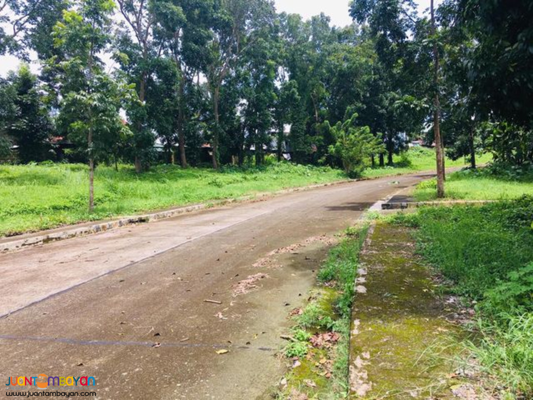 Lot For Sale in Royale Tagaytay Estates payable up to 10yrs