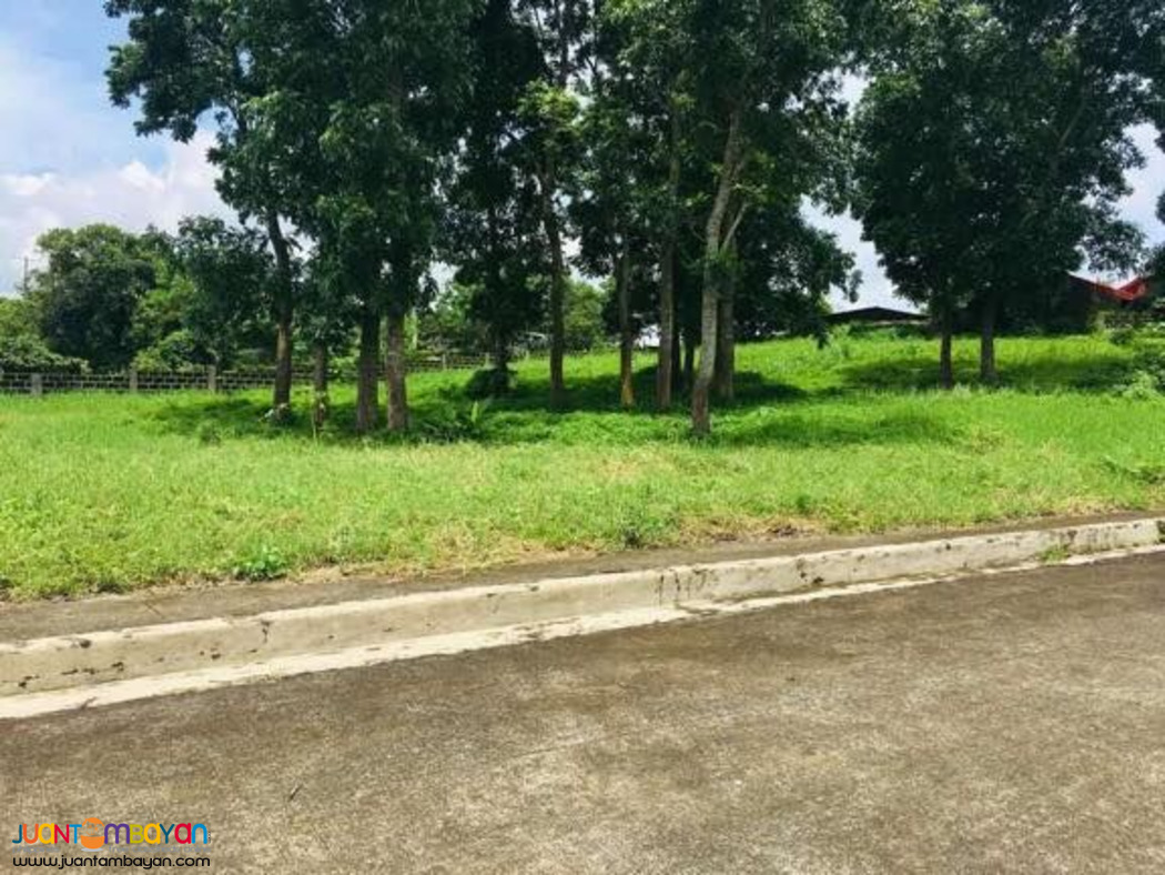 Lot For Sale in Royale Tagaytay Estates payable up to 10yrs