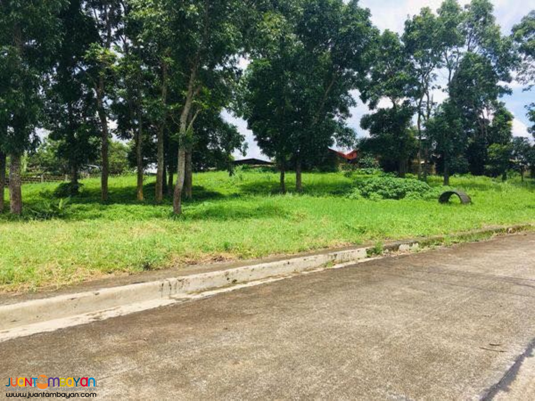 Lot For Sale in Royale Tagaytay Estates payable up to 10yrs