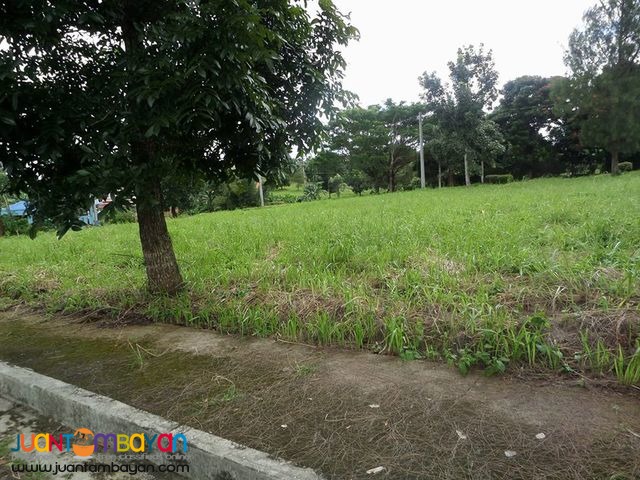 Lot For Sale in Royale Tagaytay Estates Phase 2
