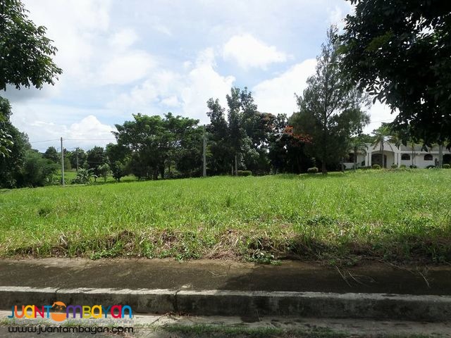 Lot For Sale in Royale Tagaytay Estates Phase 2