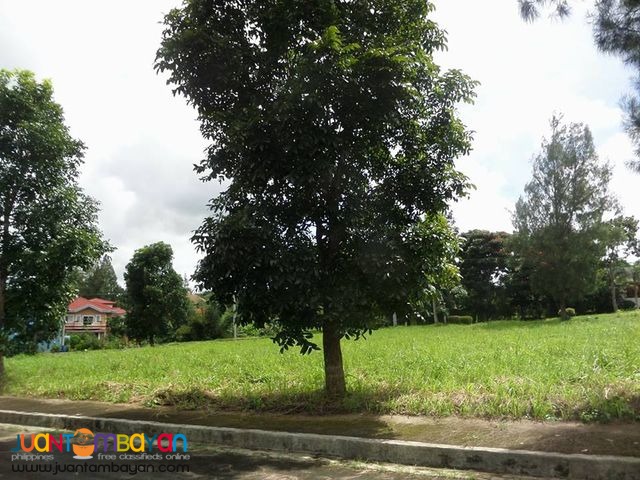 Lot For Sale in Royale Tagaytay Estates Phase 2