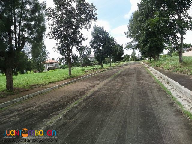 Lot For Sale in Royale Tagaytay Estates Phase 2