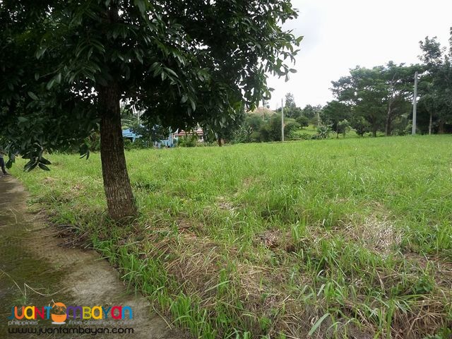 Lot For Sale in Royale Tagaytay Estates Phase 2