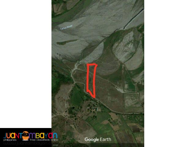 15 hectares land in capas tarlac for sale