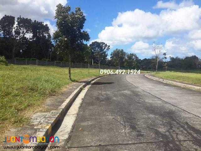 Residential Lot For Sale in Royale Tagaytay Estates Phase 3