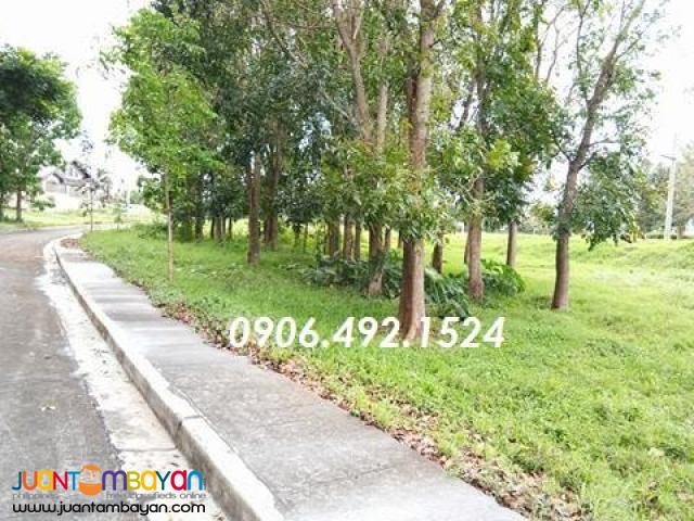Residential Lot For Sale in Royale Tagaytay Estates Phase 3