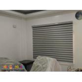 Combi Window Blinds