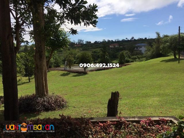 Land For Sale in La Prairie Tagaytay near Royale Tagaytay Estates