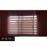 Combi Window Blinds